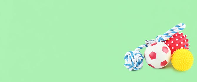 suministros para animales